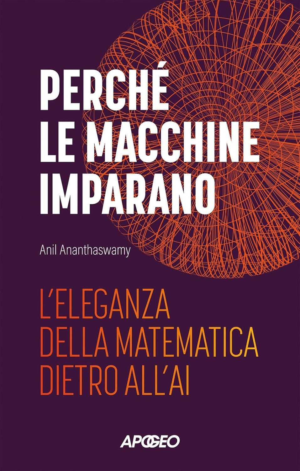 Perché le macchine imparano. L'eleganza della matematica dietro all'AI